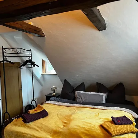 Cats Forest Apartment *