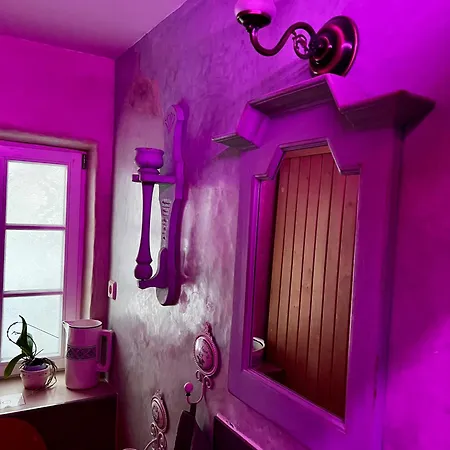 Cats Forest * Großschönau