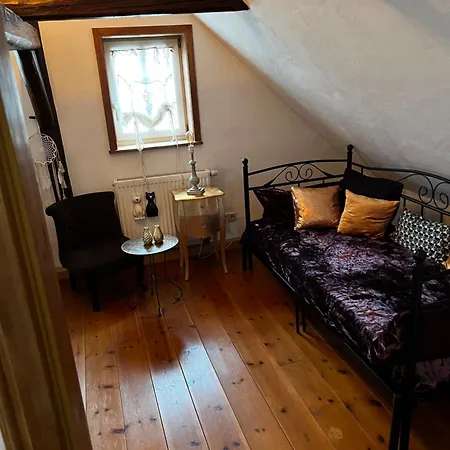 Cats Forest Apartment