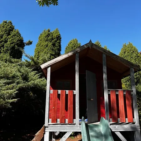 Cats Forest Apartment Großschönau