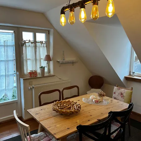 Cats Forest Großschönau