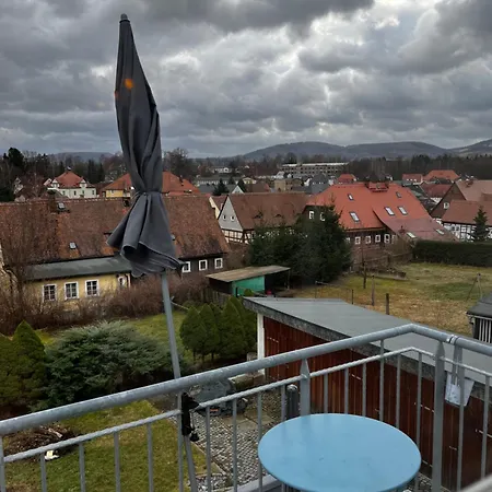 Cats Forest Apartment Grossschoenau