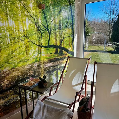 Cats Forest * Großschönau