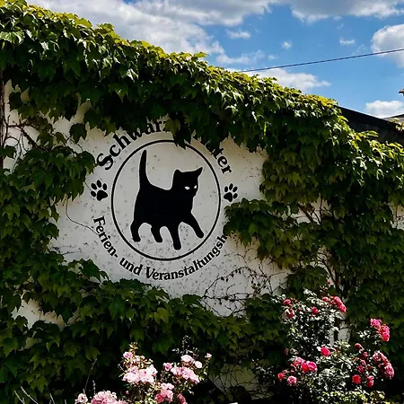 Apartment Cats Forest *