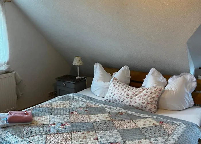 شقة Cats Forest *