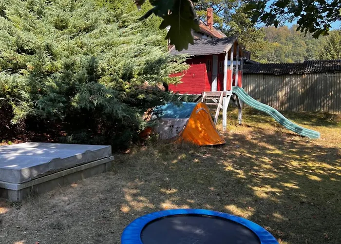 Cats Forest شقة غروسشوناو