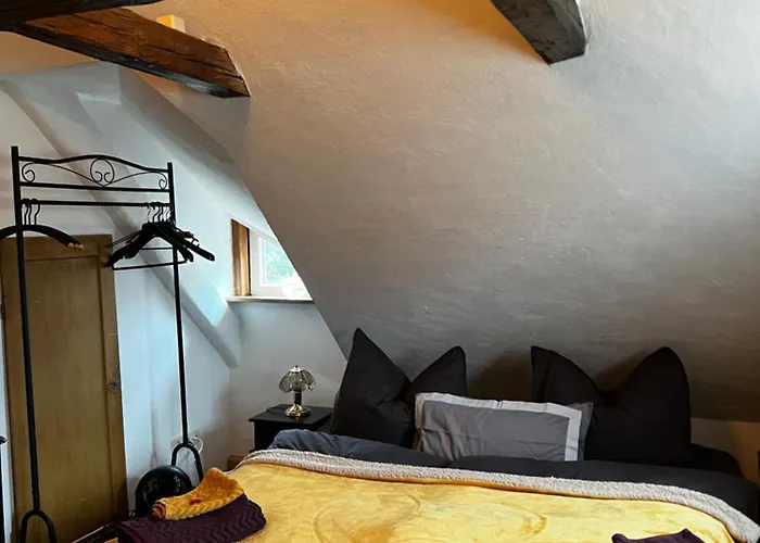 Cats Forest شقة *