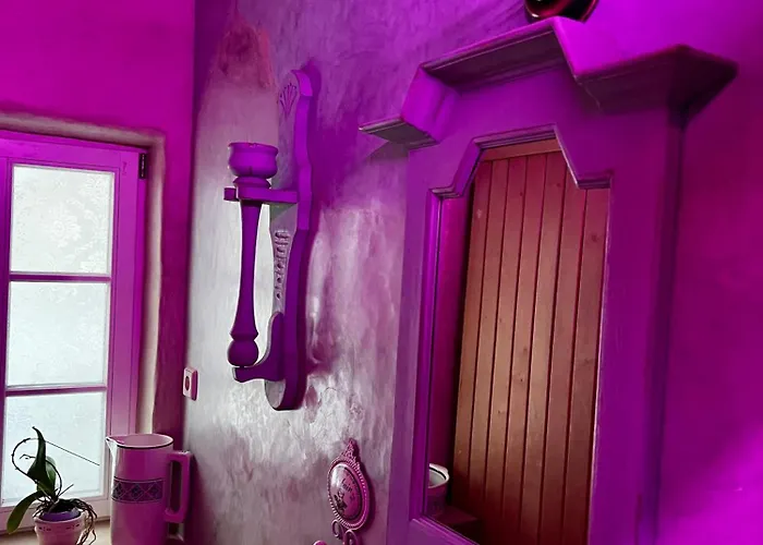 Cats Forest * غروسشوناو