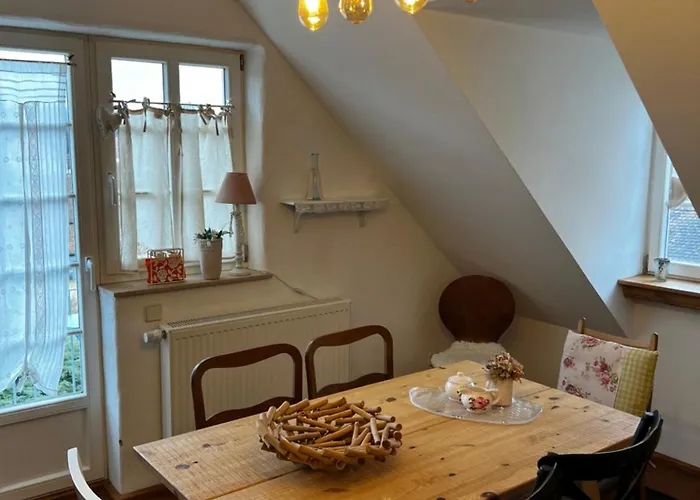 Cats Forest غروسشوناو