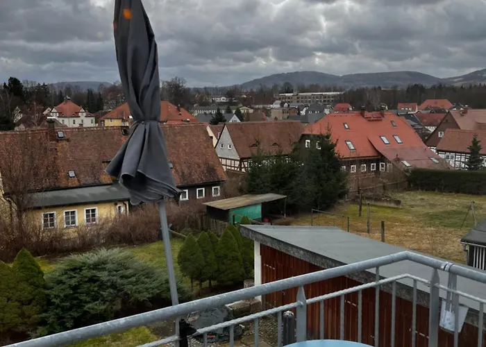 Cats Forest شقة غروسشوناو