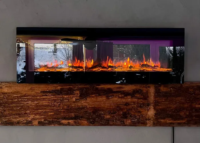 Cats Forest غروسشوناو