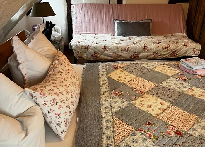 Cats Forest شقة *